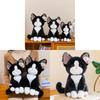Super Cute Cat Cartoon Plush Doll With Pp Cotton Filling For Birthday Gift And Collection