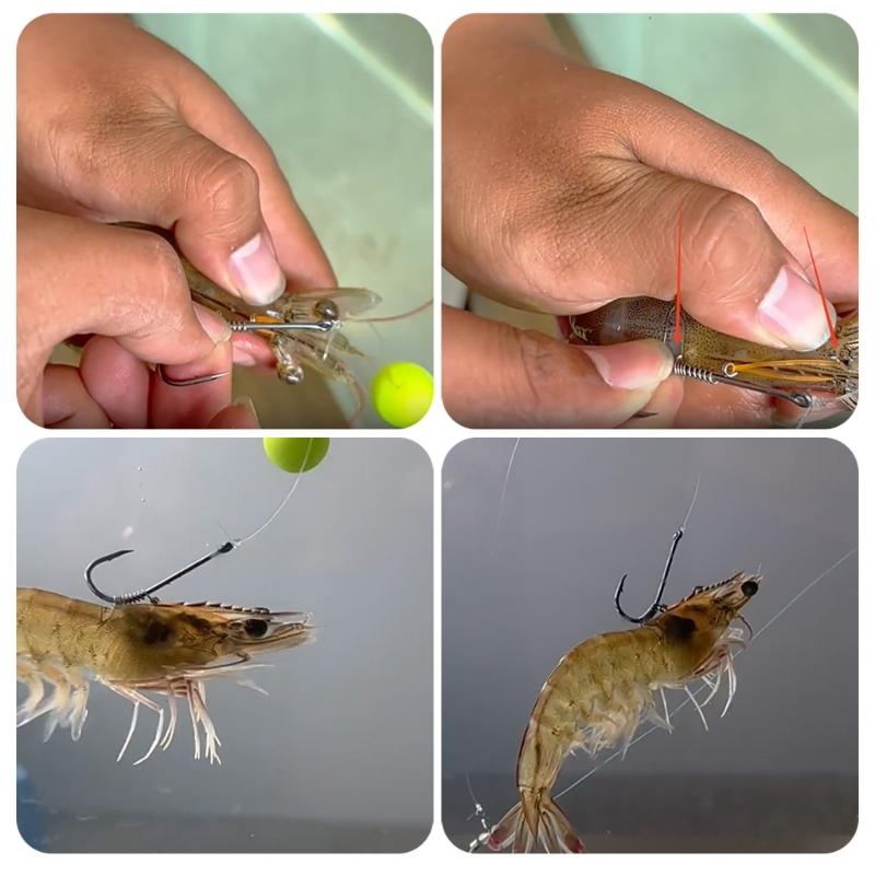 Fishing Hook Live Shrimp Fixing Hook Saltwater Fishing Tackle Barbed Fishhook with Hole Fishing Baitholder Hook