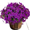 Decorațiuni pentru casă – Flori decorative şi coroane de flori