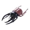 Fake Beetle Beetle Figures Simulation Animals Insect  Beetle  Special Lifelike Model Insect Model Simulation Beetle