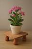 Pinyunxuan Flower Shelf Flower Pot Shelf Wooden Plant Shelf Green Leaf Plants for Indoor and Outdoor Use (Walnut)