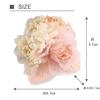 Small for entrance graduation special small bouquet coordination [Crane's Collection] corsage, brooch, clip, pin, 2-way, formal, ceremonies,