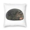 Chonky Fat Seal Meme Square Pillowcase Polyester Linen Velvet Printed Zip Decorative Pillow Case Sofa Seater Cushion Cover