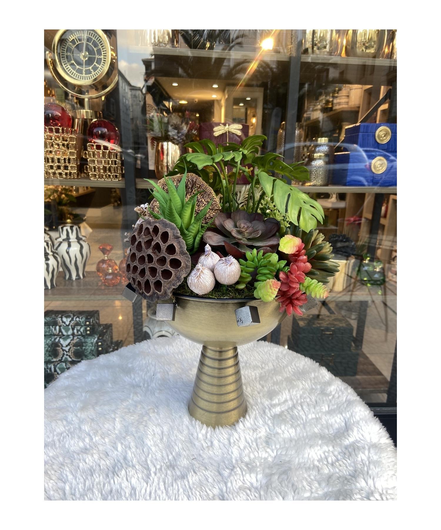 

Суккуленты в рисовых горшках