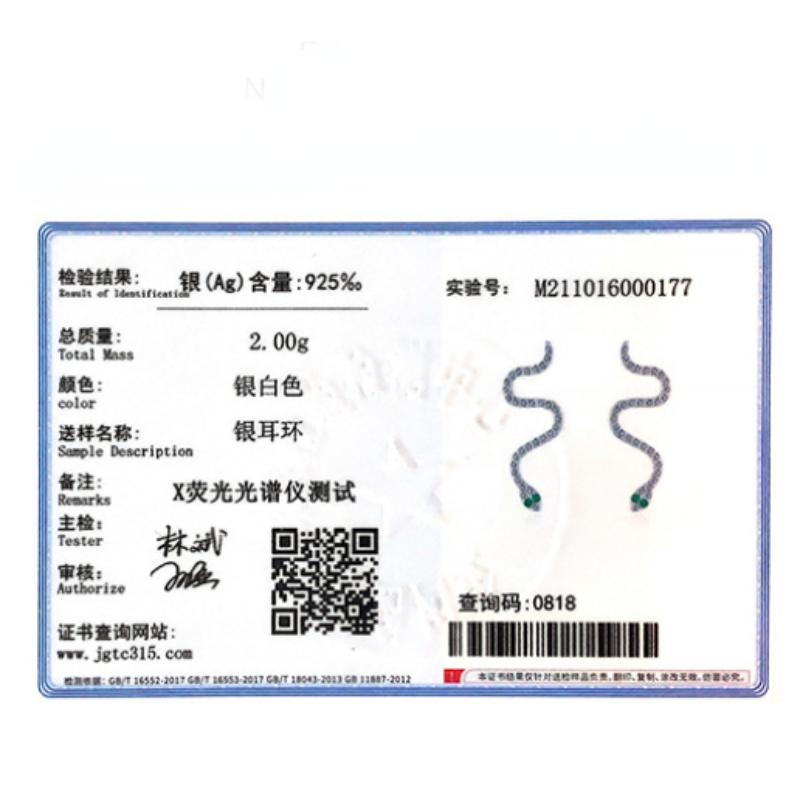 Tancise 925 Sterling Silver Zircon Earrings Drop Earrings For Women Wedding Party Gifts