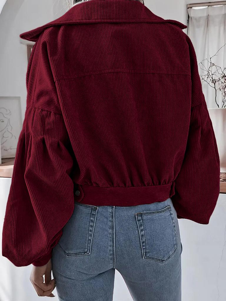Ins Style Autumn Velvet Long Sleeve Cardigan Jacket for Women