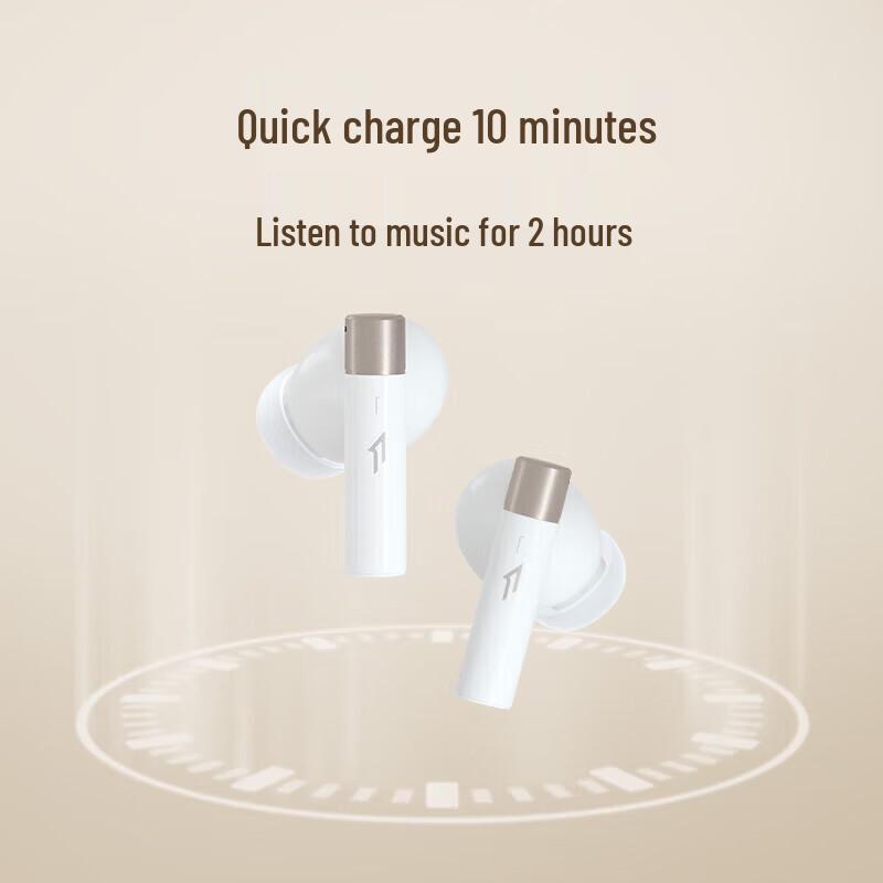 1MORE Q30 Active Noise Cancelling Bluetooth Earbuds
