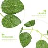 100 Pcs Simulated Rose Leaves Simulation Plant Artificial Fake Leaf Decor Ornament Plastic Baby Green