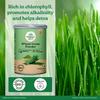 ORGANIC INDIA Wheat Grass Powder 100 G Wellness Supplement For Energy Detox Support And Daily Vitality Pack Of 1