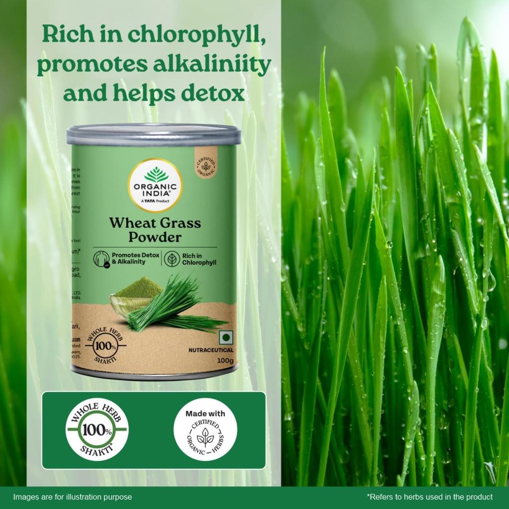 ORGANIC INDIA Wheat Grass Powder 100 G Wellness Supplement For Energy Detox Support And Daily Vitality Pack Of 1