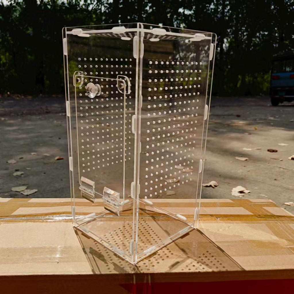 Transparent Acrylic Jumping Spider Enclosure Mantises Terrarium Geckos Insect Breeding Box for Small Animals Hatching Case