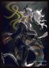Chara Sleeve Collection Matte Series Worlds Beyond Anathema Burned Shadowverse "Scorching Night" (No. MT2166)