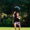 Profesional Flying Boomerang Toy Fast Catch Returning Dolphin Boomerang  Outdoor Sports