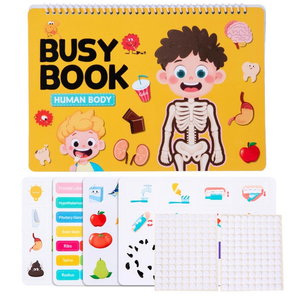 

Early Education Busy Book Body Structure Quiet Book Creative Enlightenment Book Preschool Learning Body Structure