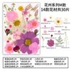 Natural Dried Flowers Pack For Diy Resin Pressed Flower Art