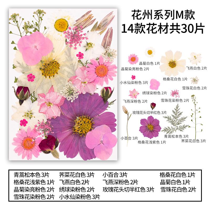 Natural Dried Flowers Pack For Diy Resin Pressed Flower Art