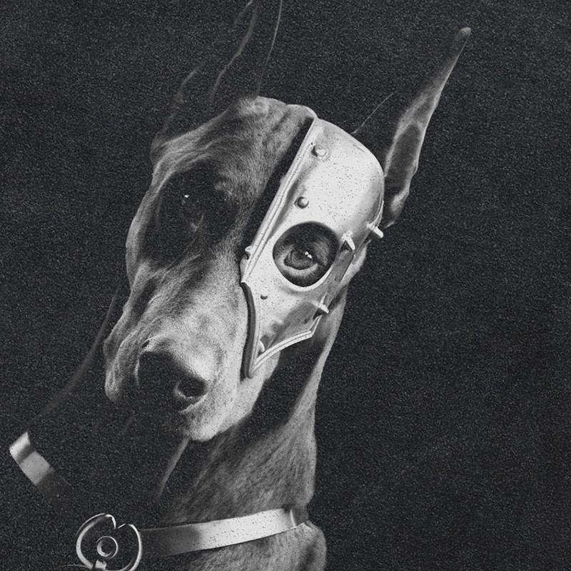 2024 Streetwear Dobermann Graphic Unisex T-Shirt Cotton Washed Black Tshirt Unisex Tops Tees Summer Short Sleeves T Shirt