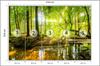 Photomural Beautiful Forest Landscape In Spring In 3D Effect Structural Vinyl 416x254