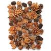 Daichi Farm Dried Flower Cone Assortment, Natural, Approx. L1.0-4.5cm, 100g, DO024884-000