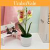 Butterfly Orchid 3d Resin Artificial Plant For Wedding Home Decor And Photography Props