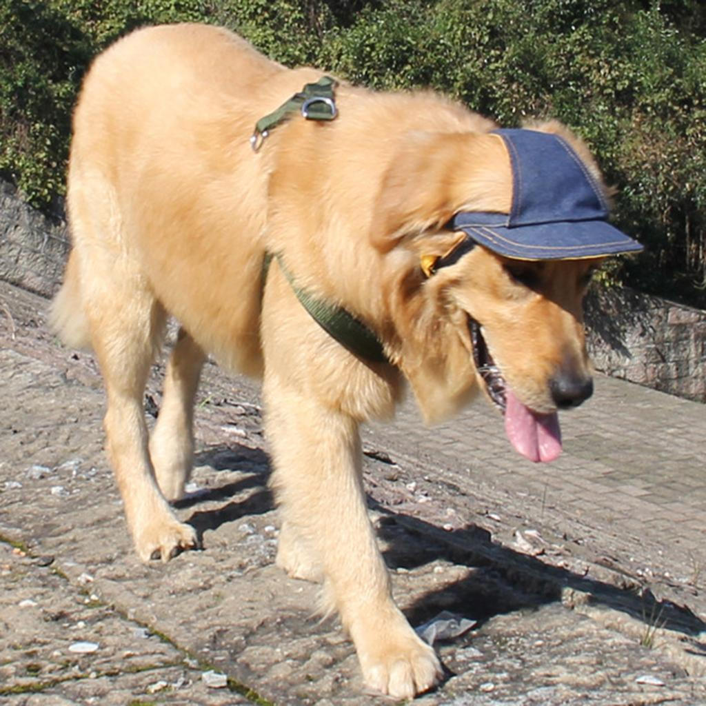 Cap Bucket Bonnet Visor Hat with Chin Strap, Cowboy Style S