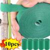 10pcs Self Adhesive Plant Nylon Cable Tie Green Adjustable Plants Hook Loop Support Garden Twine Bandage Reusable Fastener Tape Strips