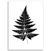 Leinwandbild, Farnblatt
