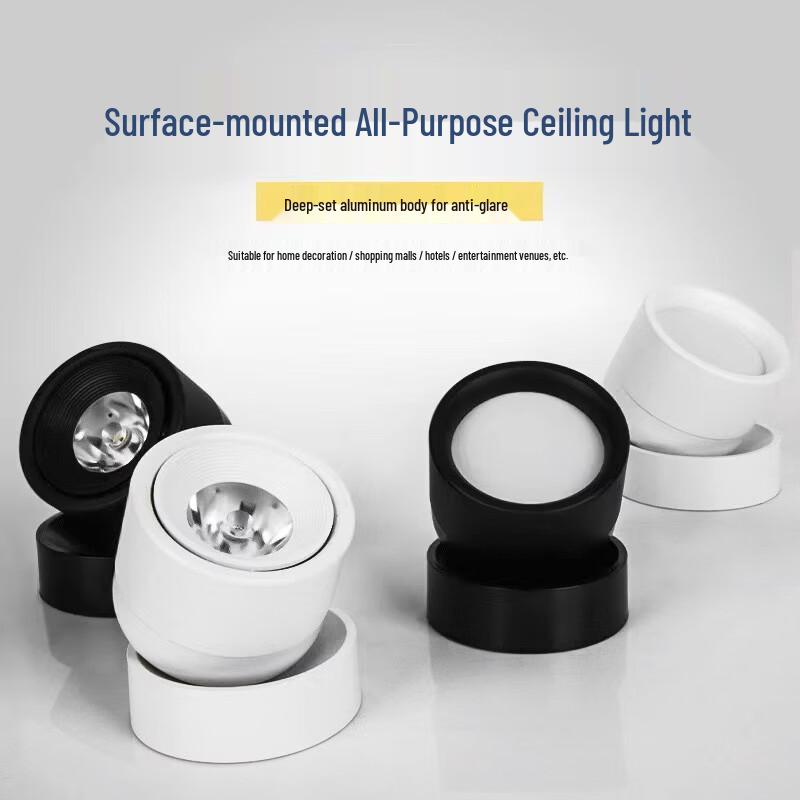 oeny Adjustable Angle LED Spotlight