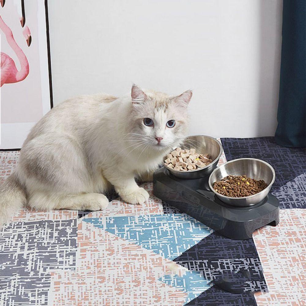 Non-Slip Stainless Steel Cat Bowl With Stand Single Double Cat Bowl Adjustable Cat Bowl  Dogs