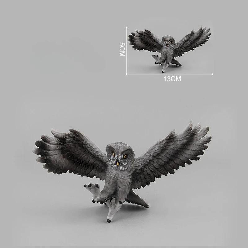 

Creative 1Pcs Wildlife Raptor Model Realistic Bird Models Bald Eagle Owl Hawk Toy Figurines Home Office Decoration Crafts