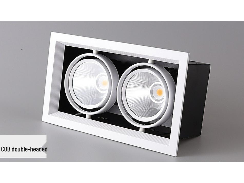 Adjustable Double-Head LED Eyeball Spotlight for Retail Stores