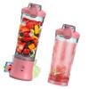 Portable Blender 600ml Personal Size Juicer Cup for Shakes and Smoothies with 6 Blades 150 Watt Waterproof Rechargeable