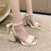 Shoes Slippers Thick Heel Sandals Women's Summer Shoes 2025 New Summer Internet Celebrity Cool Slippers Medium Heel High Heel Drag Women