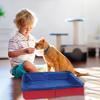 Collapsible Dog Pool Easy Storage PVC Large Size Pool Ideal For Cooling Pet for Outdoor Backyard