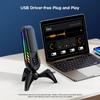 RGB Professional Live Streaming Microphone Condenser Desktop USB Noise Cancelling Podcast Mic PC Computer Studio Microphone