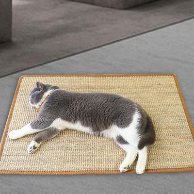 Katten – Trainingsproducten voor katten