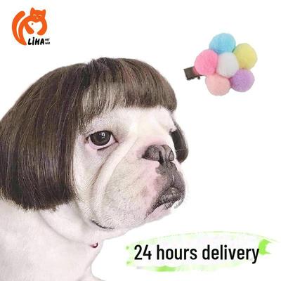 Colorful Pet Wig & Flower Hairpin Set for Dogs - Cute Accessories