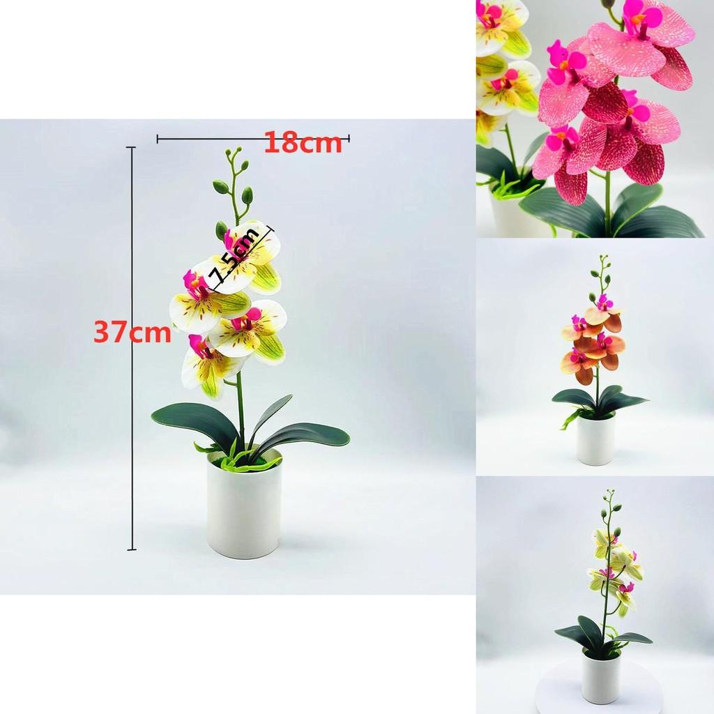Fake Butterfly Orchid Bonsai With Pvc Material For Living Room Decor And Collectors