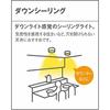 Panasonic Down Ceiling Light LGB51653LE1 Direct Mount 60 Type White
