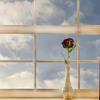 Adjustable Stems Home Decor Flower Wedding Flower Artificial Velvet Rose