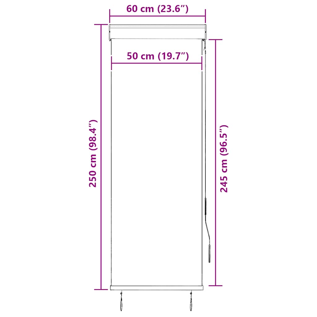 Outdoor Roller Blind 60 x 250 cm Cream White