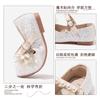 Girls Princess Shoes Children's Soft Sole Fashion Little Girls Single Shoes Elsa Princess Crystal Shoes for Older Children