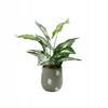Artificial Plant Flower In A Pot For Home Office Realistic 40Cm Alocasia