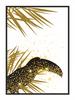 Obraz Plakat W Ramie 53x73 Cm Tukan P699