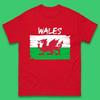 Welsh Dragon Flag Of Wales Saint Welsh Sant Dewi St. David's Day Dragon Flag Mens Tee Top