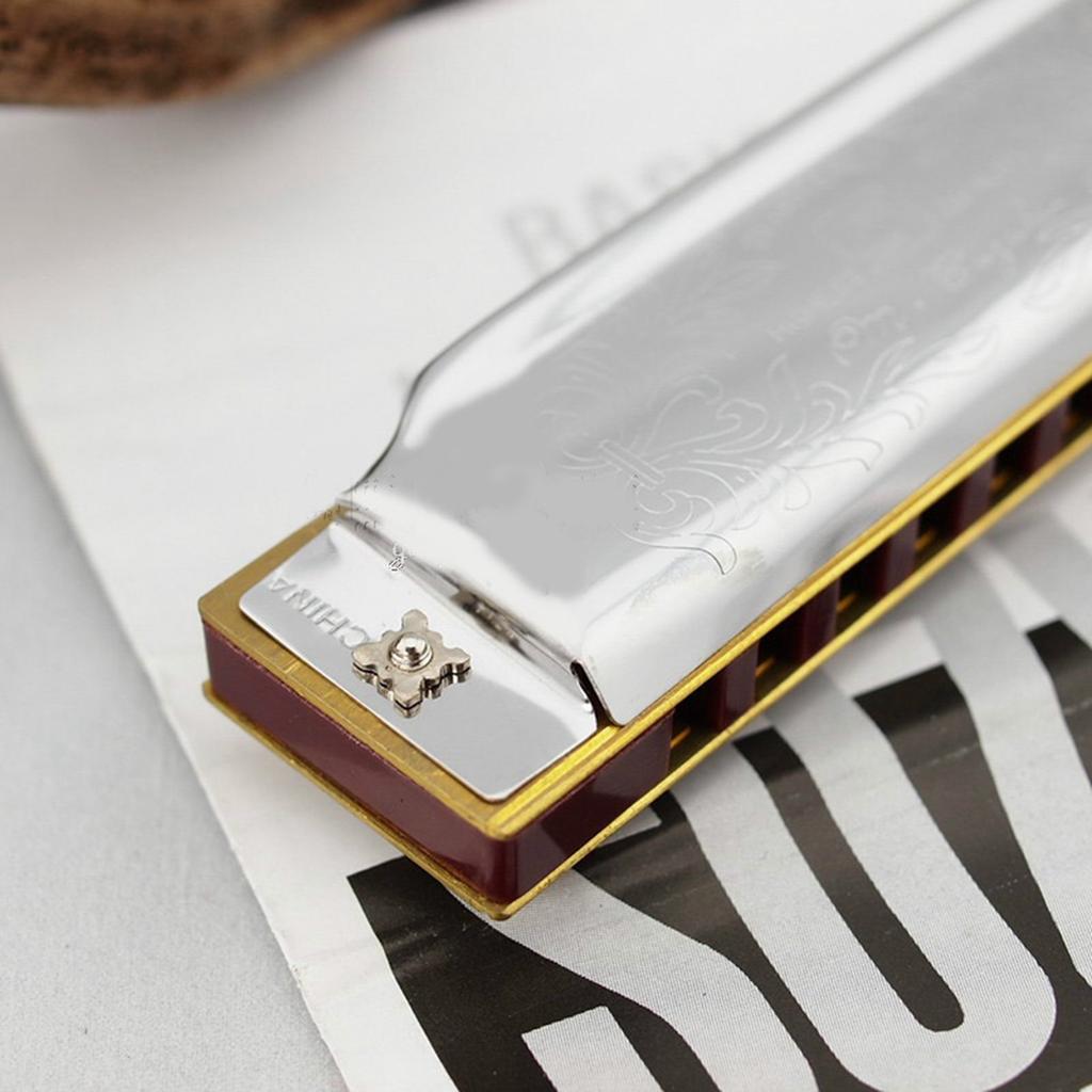 Mundharmonika 10 Löcher C-Ton Klar Stabiler Klang Mundorgel Exquisite Schöne Harmonica C