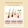 Shilang Ginger Anti-Dandruff Repair Shampoo