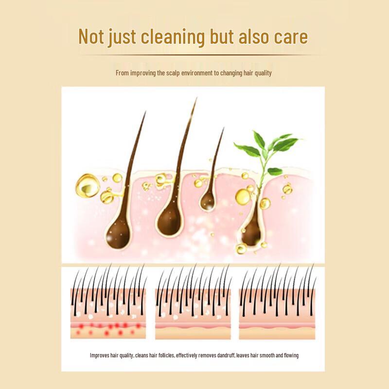 Shilang Ginger Anti-Dandruff Repair Shampoo