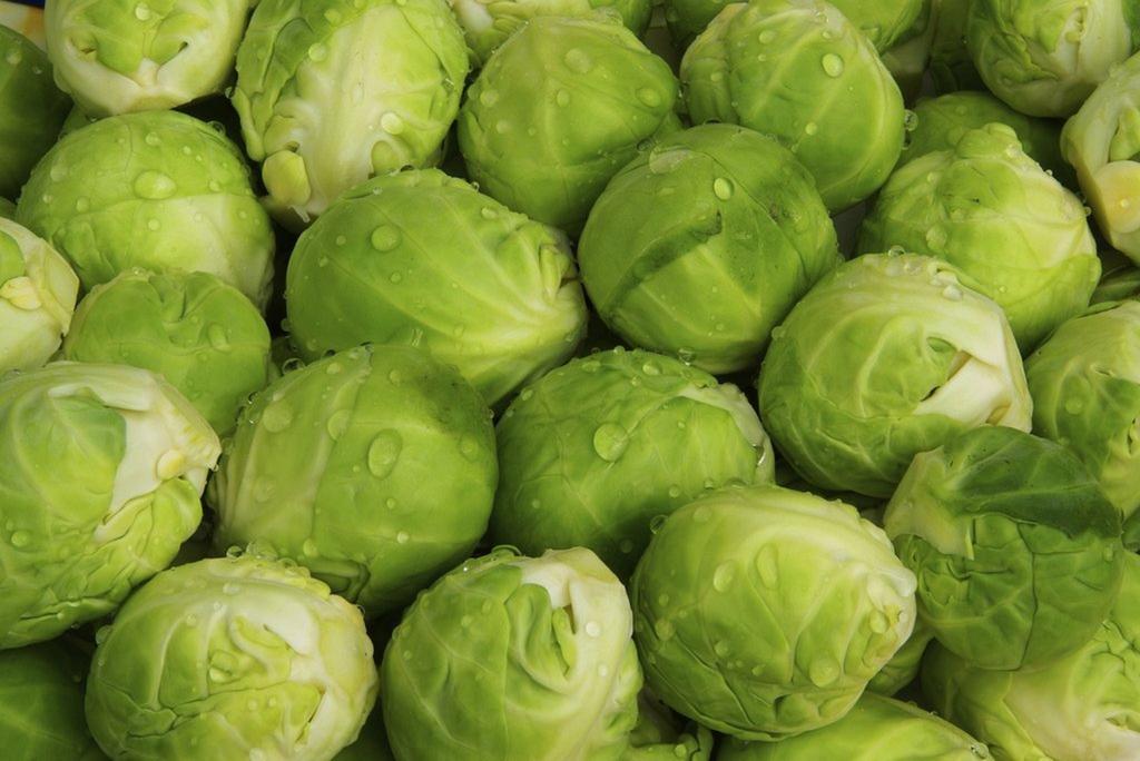 300 Seeds of Brussels Sprout Sanda - Vegetable Garden Vegetables - Reproducible Peasant Seeds - Semiwild