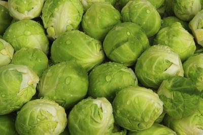 300 Seeds of Brussels Sprout Sanda - Vegetable Garden Vegetables - Reproducible Peasant Seeds - Semiwild